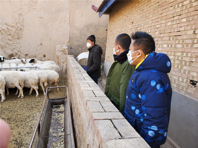 图片5.jpg
