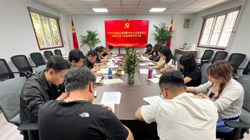 甘肃演艺集团舞美中心党支部召开第六次集中学习暨第二季度党..
